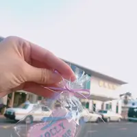 HOLLY CAMPの写真・動画_image_170688