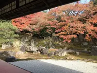 三面大黒天の写真・動画_image_170839