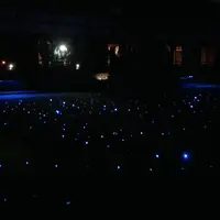 青蓮院門跡の写真・動画_image_171004