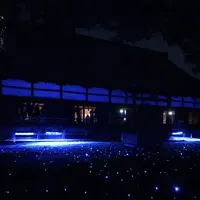 青蓮院門跡の写真・動画_image_171005