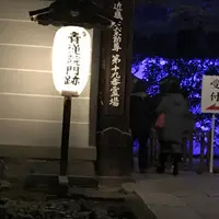青蓮院門跡の写真・動画_image_171006