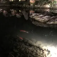 青蓮院門跡の写真・動画_image_171025