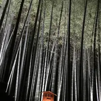 青蓮院門跡の写真・動画_image_171032