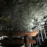 青蓮院門跡の写真・動画_image_171033