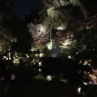 青蓮院門跡の写真・動画_image_171036