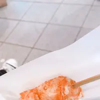 嵐山の写真・動画_image_171141