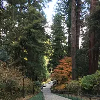 瑞鳳殿（仙台藩租伊達政宗公御廟）の写真・動画_image_171152