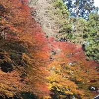 瑞鳳殿（仙台藩租伊達政宗公御廟）の写真・動画_image_171153