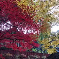 瑞鳳殿（仙台藩租伊達政宗公御廟）の写真・動画_image_171154