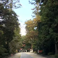 大崎八幡宮の写真・動画_image_171160