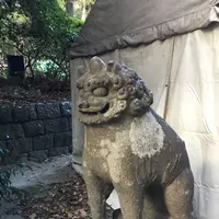 大崎八幡宮の写真・動画_image_171162