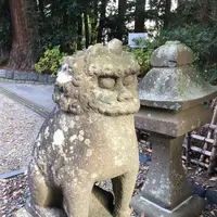 大崎八幡宮の写真・動画_image_171163