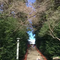 大崎八幡宮の写真・動画_image_171164