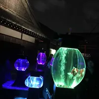 元離宮 二条城の写真・動画_image_171214