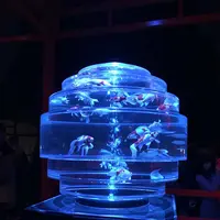 元離宮 二条城の写真・動画_image_171215