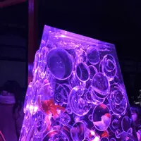 元離宮 二条城の写真・動画_image_171216