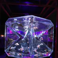 元離宮 二条城の写真・動画_image_171217