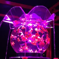 元離宮 二条城の写真・動画_image_171219