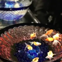 元離宮 二条城の写真・動画_image_171220