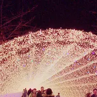 なばなの里の写真・動画_image_171226