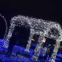 なばなの里の写真・動画_image_171228
