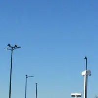 海老名サービスエリアの写真・動画_image_171346