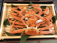 割烹旅館 越前満月の写真・動画_image_171372