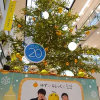 ラシックの写真・動画_image_171497
