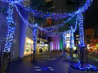 ナディアパークの写真・動画_image_171518