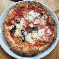 ナプレ 南青山（Pizzeria-Trattoria Napule Minami-Aoyama）の写真・動画_image_171603