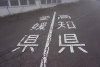 四国カルストの写真・動画_image_171664