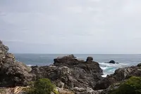 室戸岬の写真・動画_image_171681