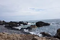 室戸岬の写真・動画_image_171683