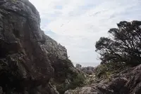室戸岬の写真・動画_image_171685