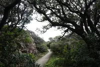 室戸岬の写真・動画_image_171689