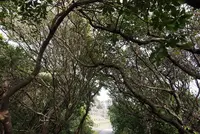 室戸岬の写真・動画_image_171696