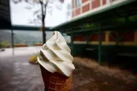 北川村「モネの庭」マルモッタンの写真・動画_image_171700