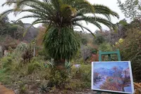 北川村「モネの庭」マルモッタンの写真・動画_image_171720