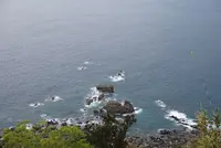 室戸岬灯台の写真・動画_image_171746