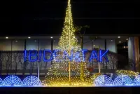 ソフトピアジャパンの写真・動画_image_171780