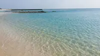 ハートロックの写真・動画_image_171868