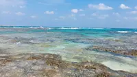 土盛海岸の写真・動画_image_171874