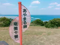 あやまる岬観光公園の写真・動画_image_171877