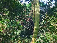 モダマの郷の写真・動画_image_171878