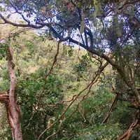 モダマの郷の写真・動画_image_171881