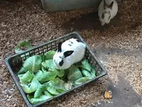 ビッグツー奄美店の写真・動画_image_171903