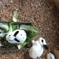 ビッグツー奄美店の写真・動画_image_171904