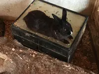 ビッグツー奄美店の写真・動画_image_171906