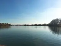 矢切の渡しの写真・動画_image_172057