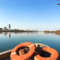 矢切の渡しの写真・動画_image_172058